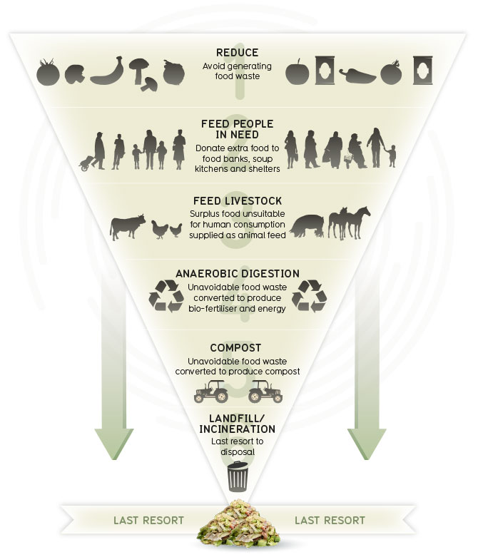Picture describing food waste hierarchy